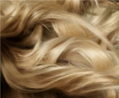 tempel of hair friseur münchen