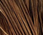 tempel of hair friseur münchen