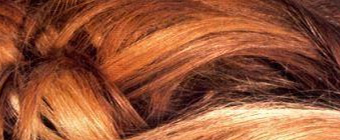 tempel of hair friseur münchen